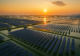 Alpex Solar Q1 FY26: Stellar Growth Pushes Company to New Peaks