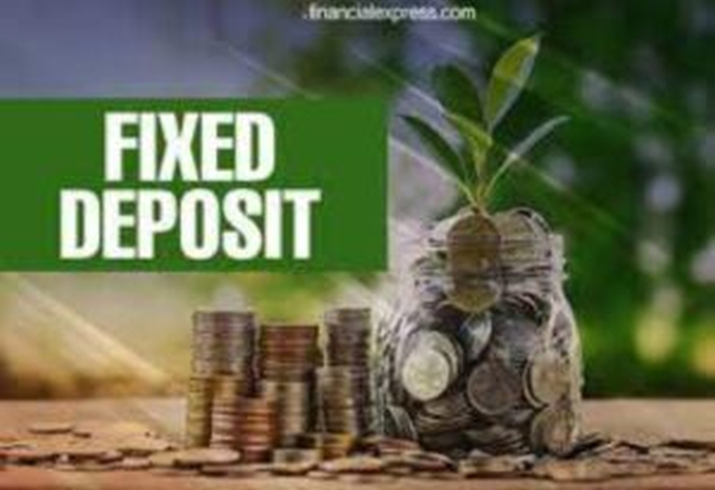 RBI Repo Rate Cut: Smart Moves for Fixed Deposit Investors